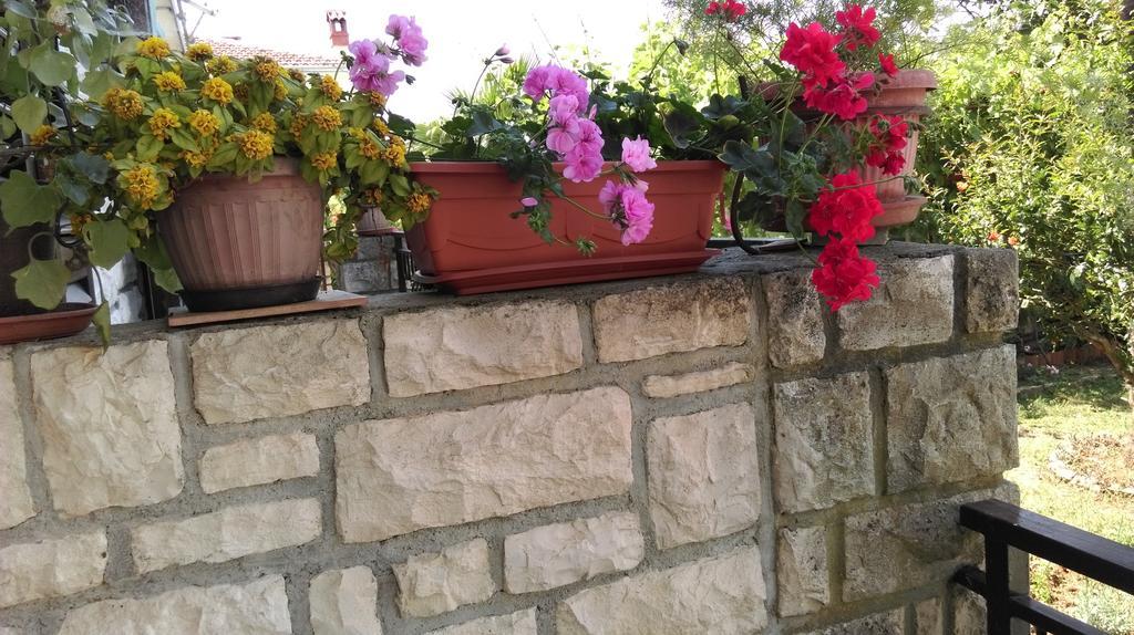 Apartments Ana Rovinj Zewnętrze zdjęcie